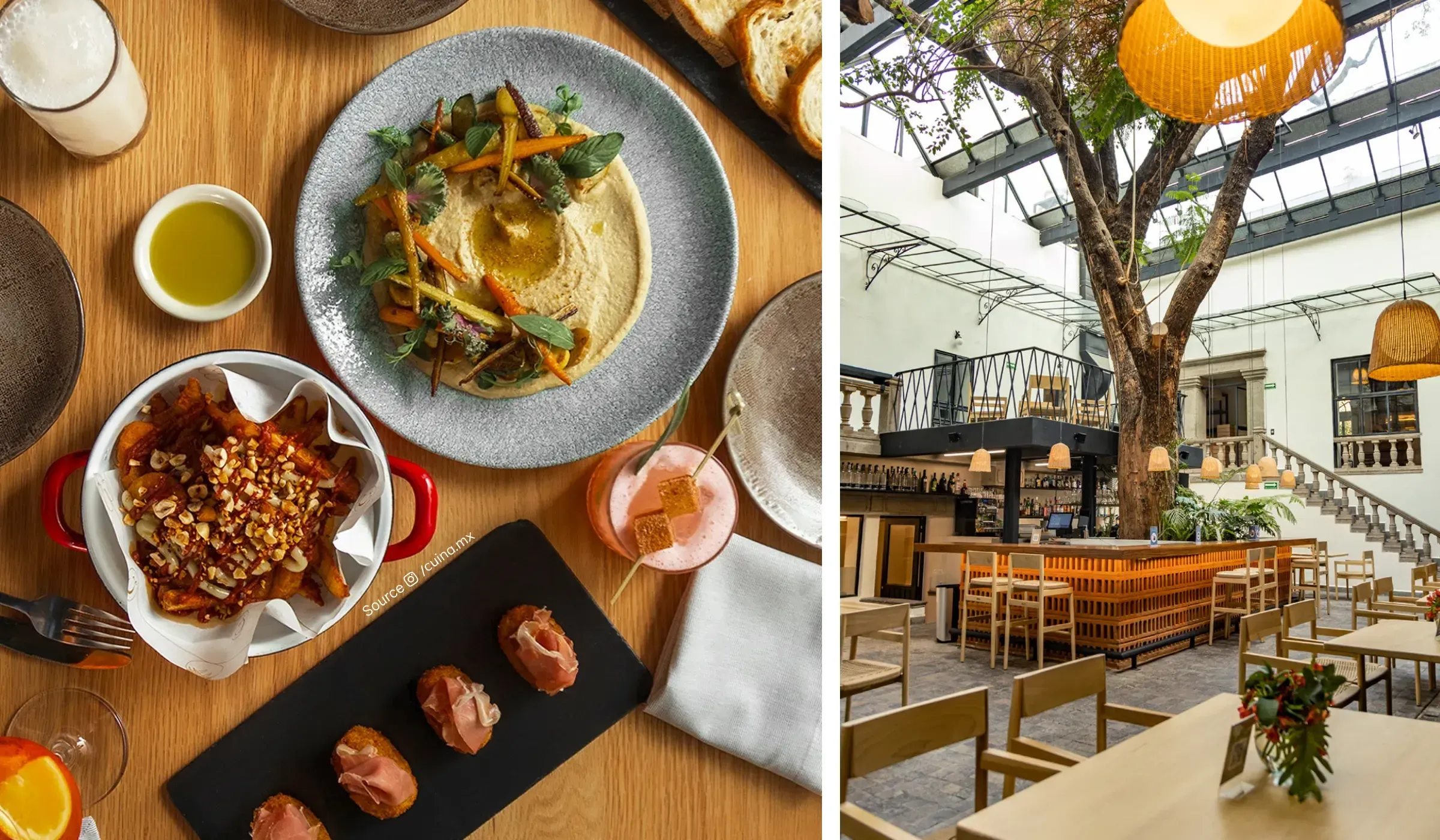 A Local’s Guide to Mexico City