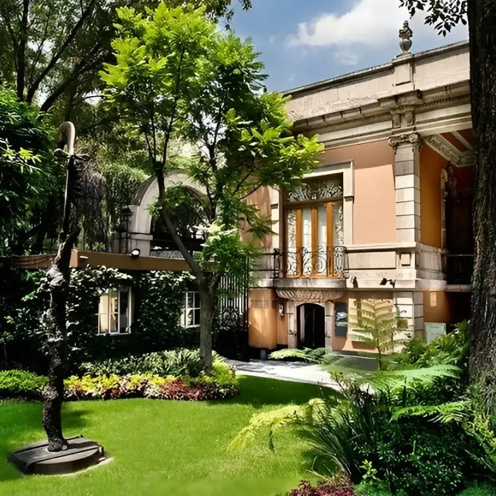 Un Día Cultural en la Roma Norte CDMX