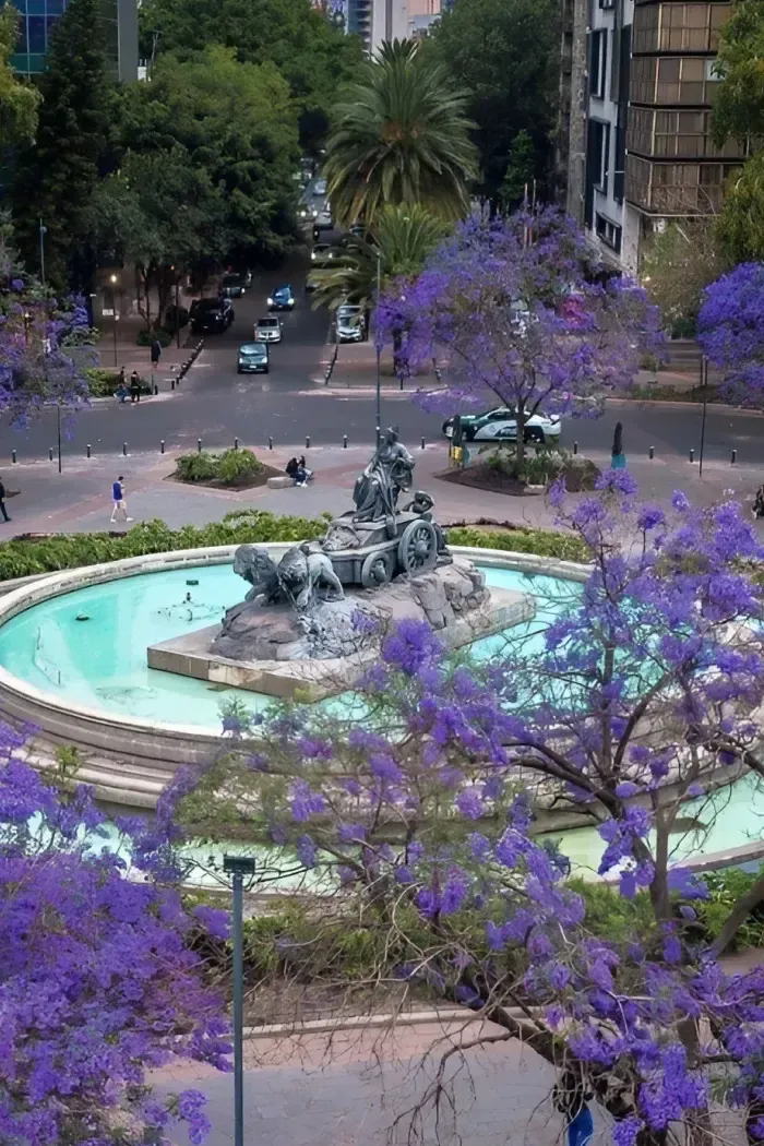 Roma Norte, Mexico City