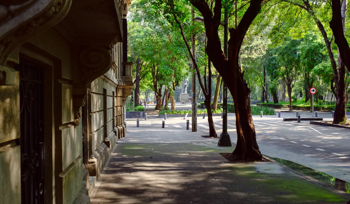 Why Calle Colima is the Cultural Heart of Mexico City