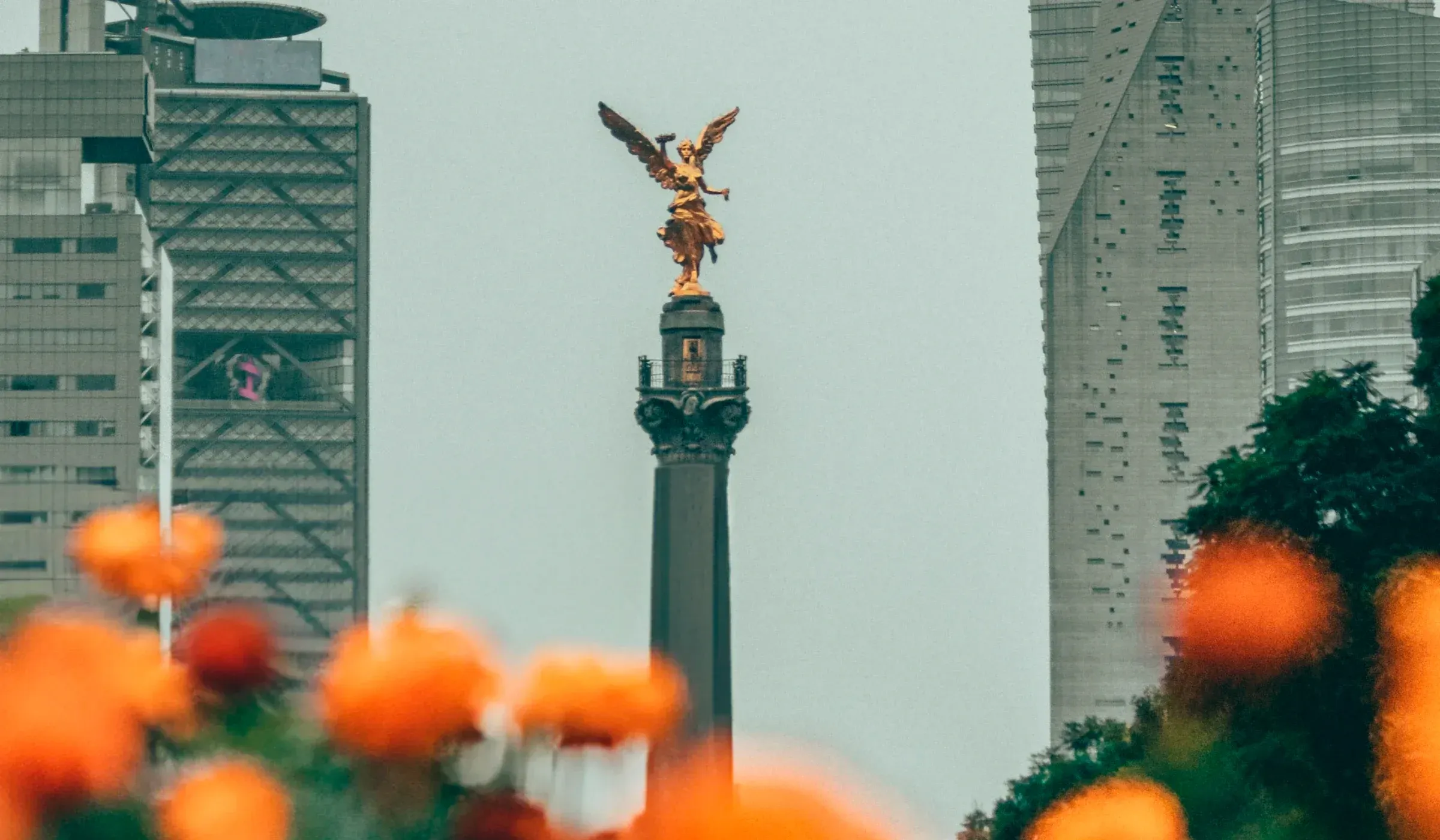 A Journey to the Essence of Mexico