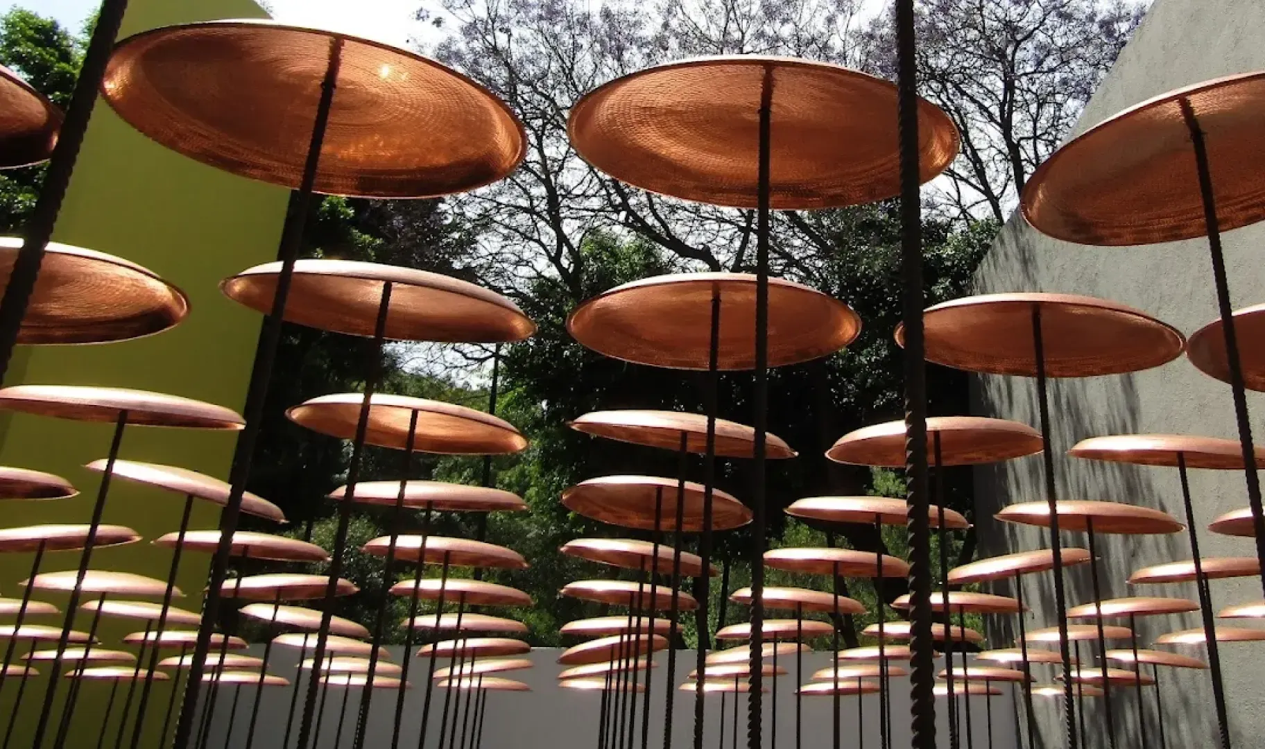 Discover Colima 71’s Museum Experience