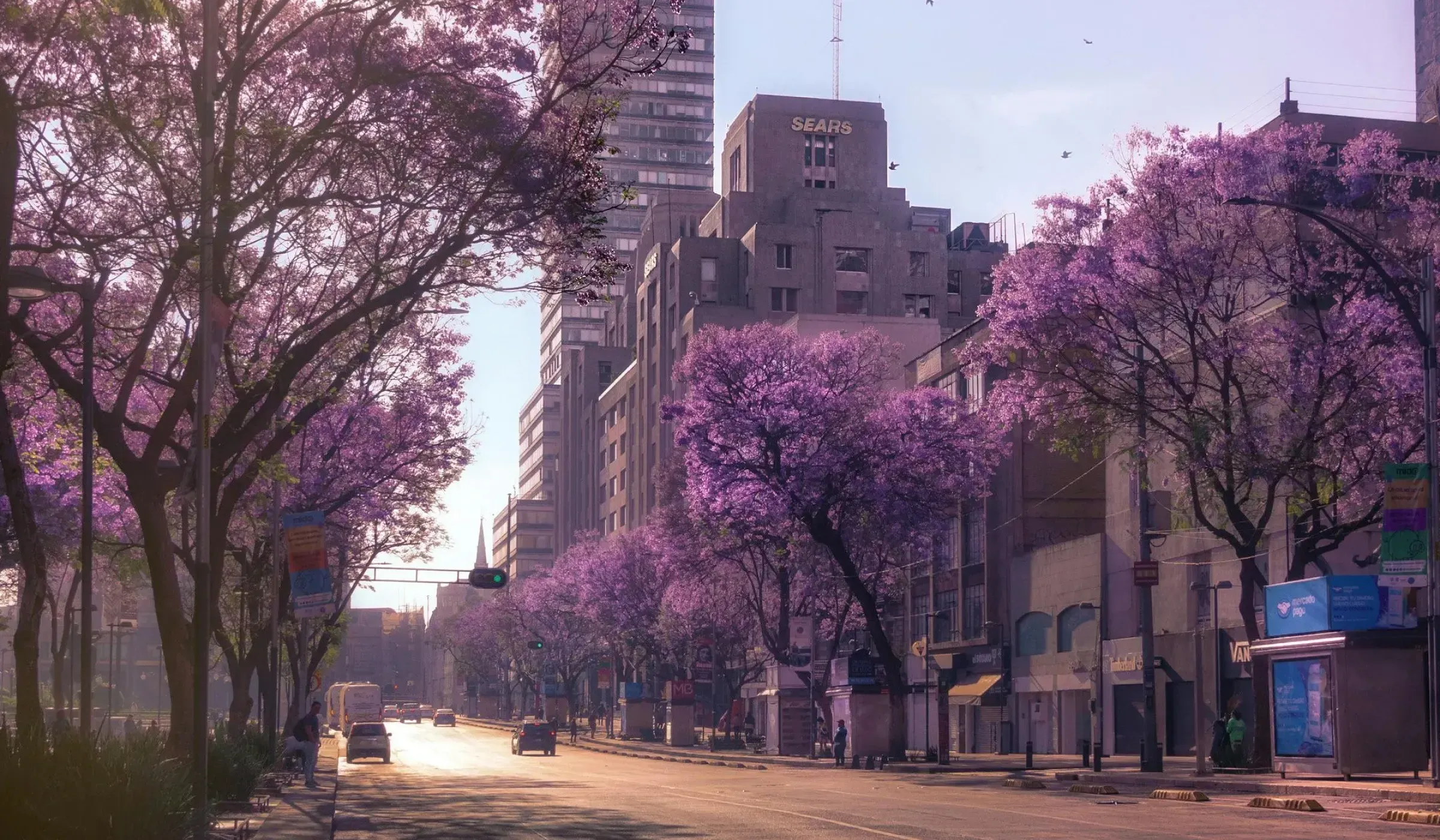 Exquisite Summer in Mexico City