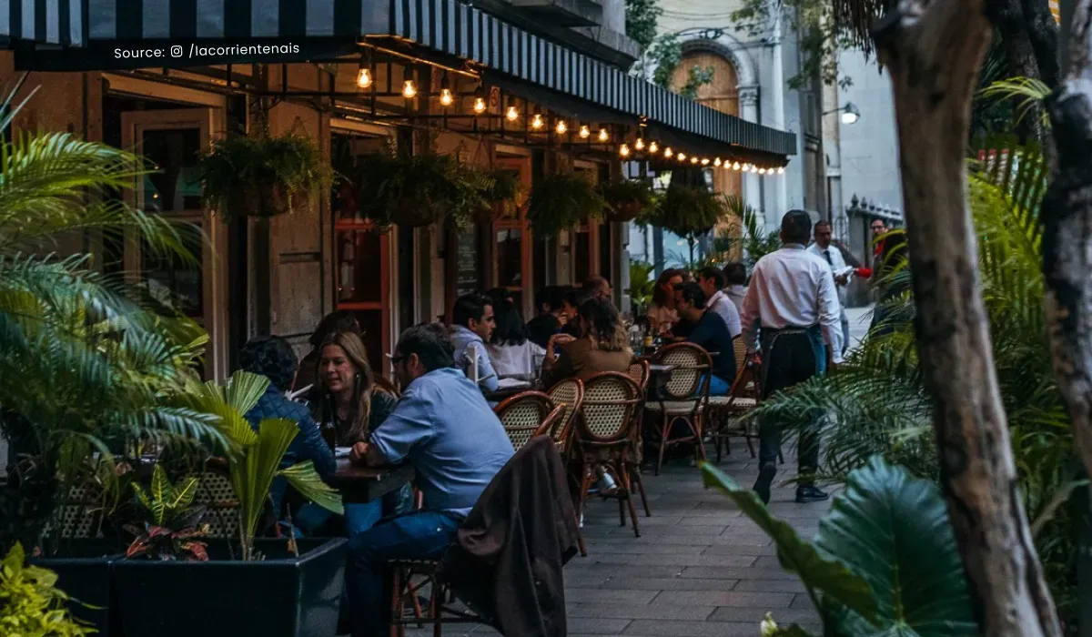 A Curated Handbook for the Sophisticated Traveler