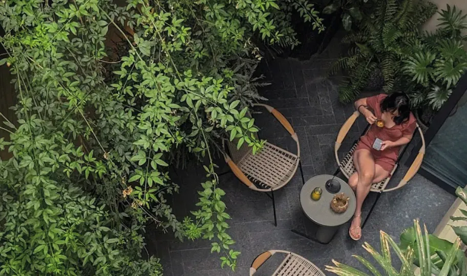 A Curated Handbook for the Sophisticated Traveler
