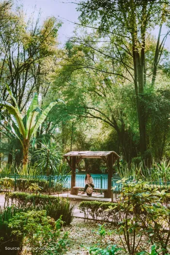 A Curated Handbook for the Sophisticated Traveler