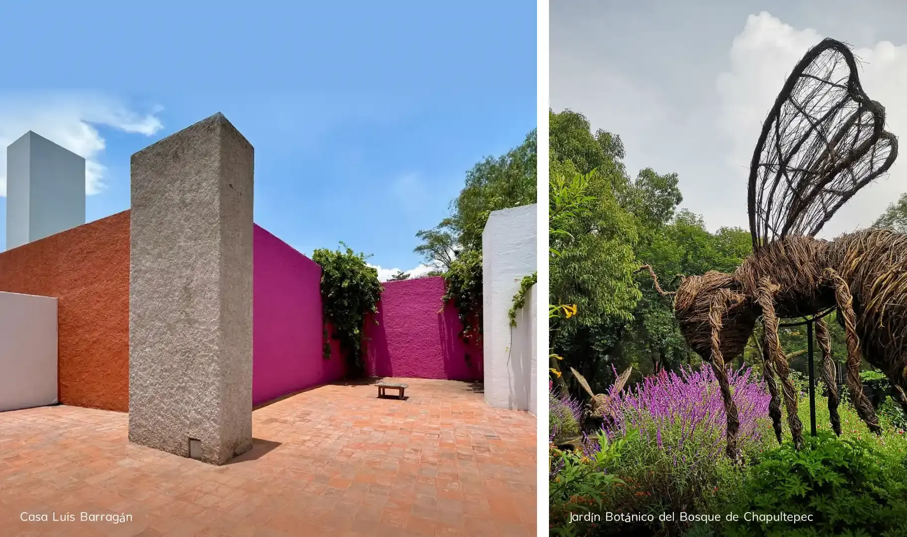 An Essential Guide to Art, Architecture, and Culinary Excellence