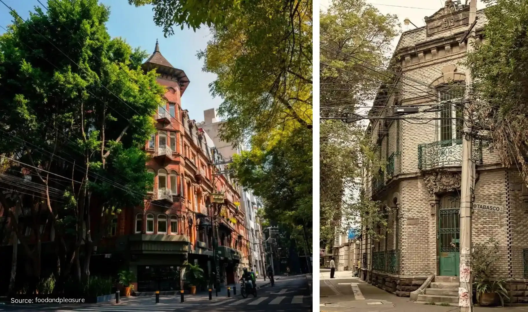 The Curator’s Itinerary for Cultural Inspiration in Mexico City