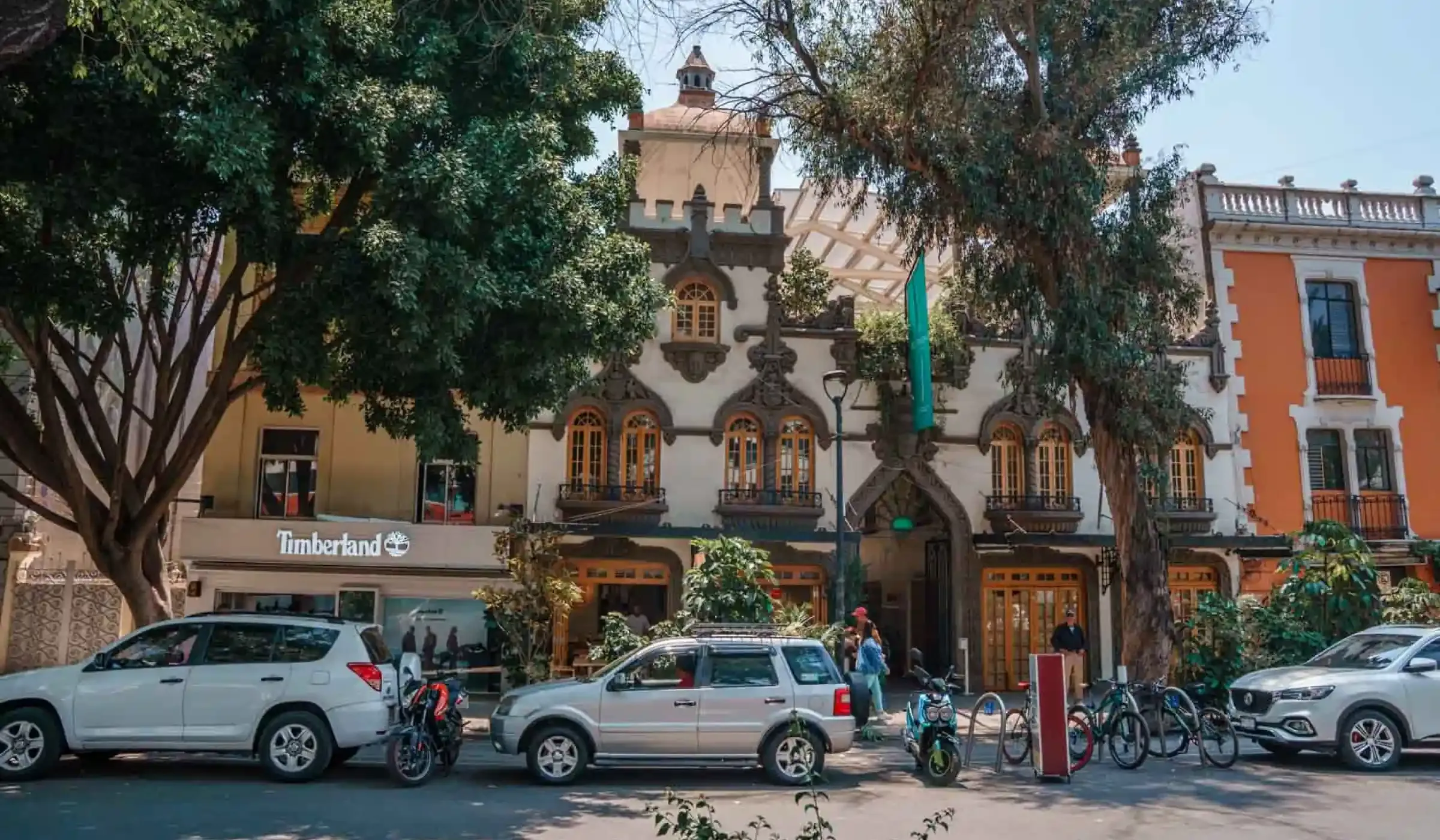 Curated Tours & The Best Boutique Hotel Roma Norte
