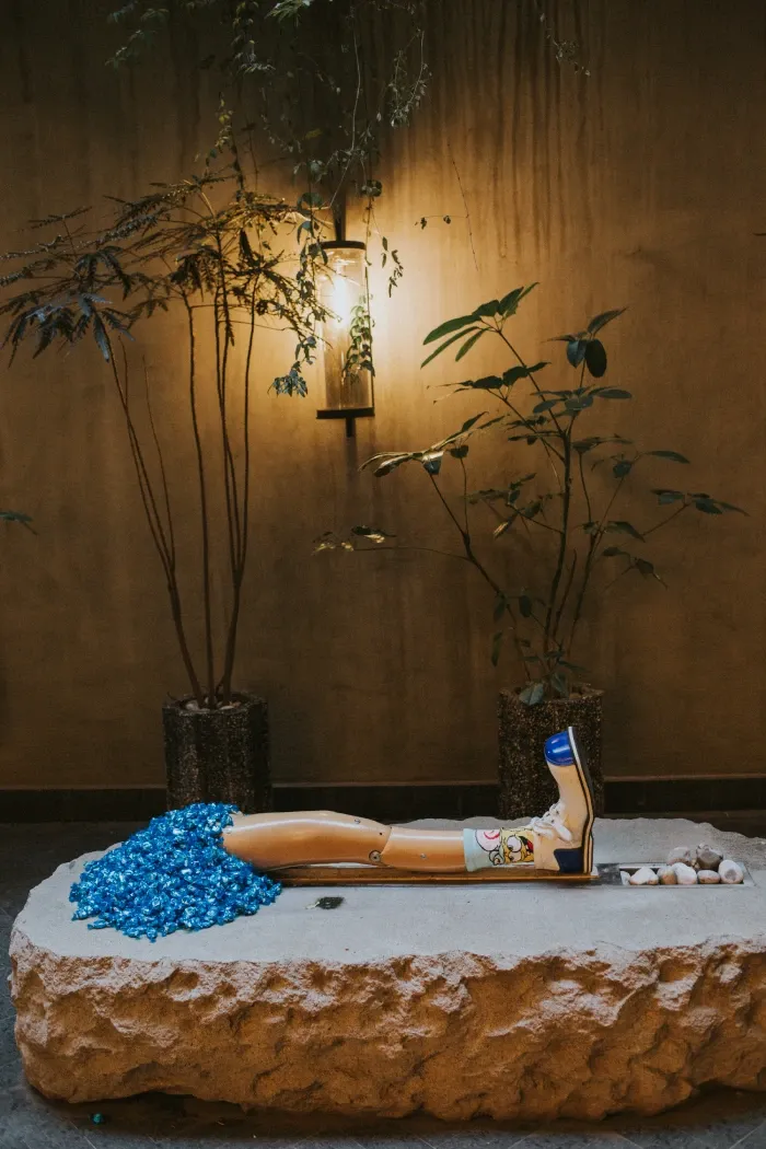 Why Roma Norte is CDMX’s Creative Heart and Art Design Base